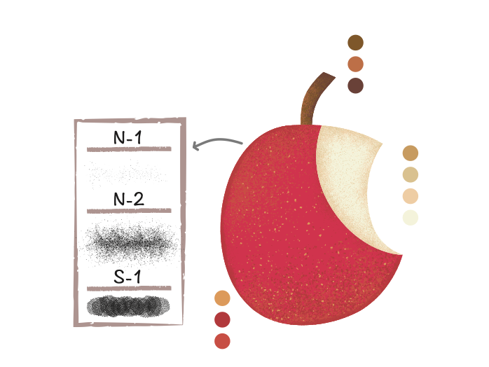 Pro Illustrator Shading Brush Pack – DOT Studio